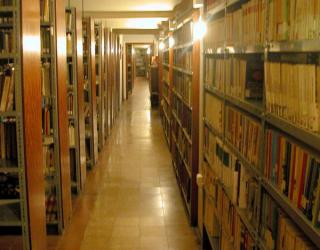 La biblioteca verso los años 80